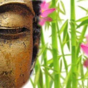 Curso Online Recupera el equilibrio y la armonía a través del Mindfulness