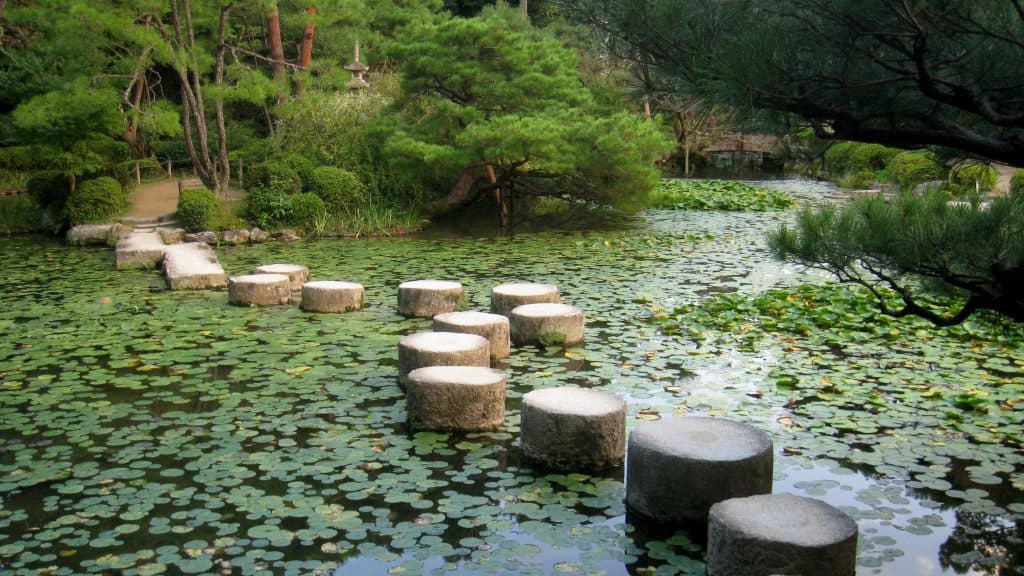 landscape nature flower lake river pond 658886 pxhere.com edited